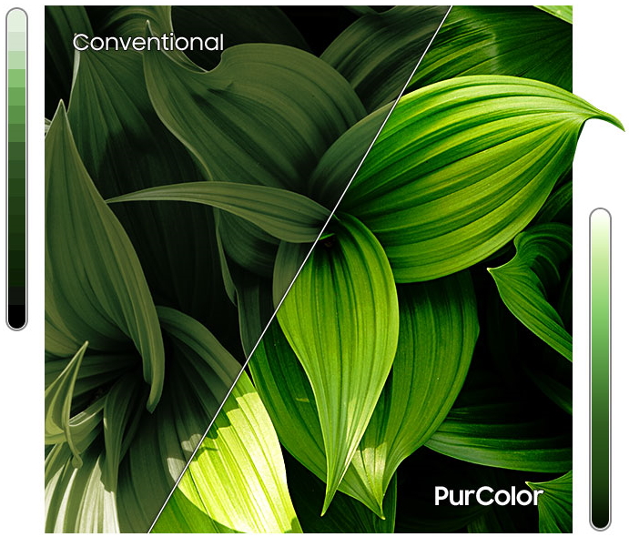 ru-feature-lifelike-color-that-brings-you-closer-225927065.jpg